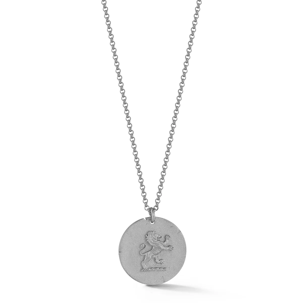 Lion Coin Necklace - Image 2